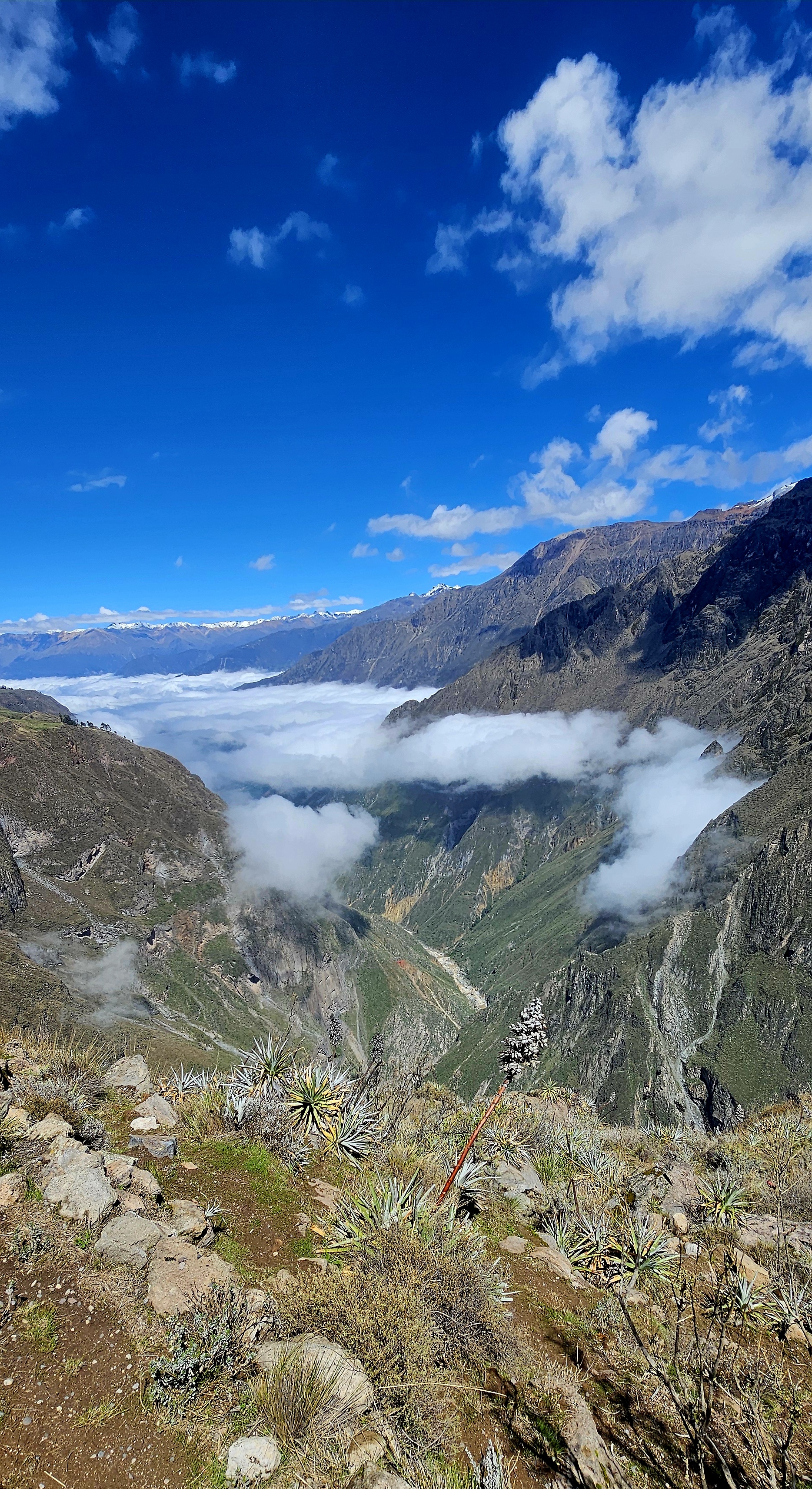 Mirador Cruz del Cóndor 7